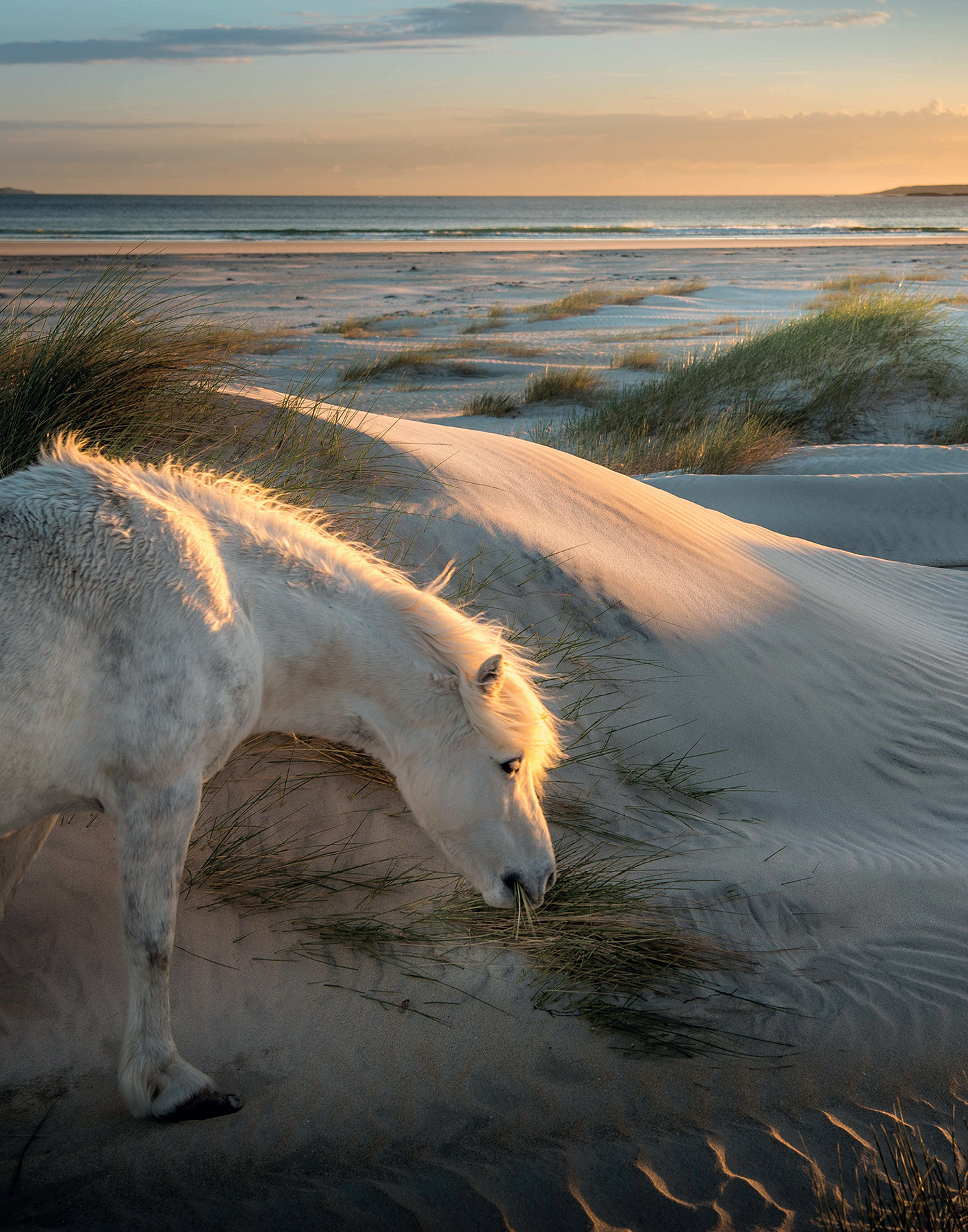 June 2020 Dune Drifter Luskentyre Beach Isle of Harris Judges Favourite - photo 3