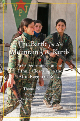 Schmidinger Thomas - BATTLE FOR THE MOUNTAIN OF THE KURDS: self -determination and ethnic cleansing in rojava