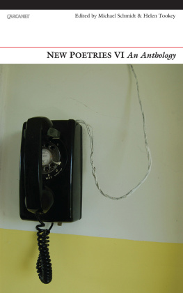 Schmidt Michael - New poetries VI an anthology