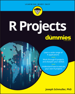 Schmuller R Projects For Dummies