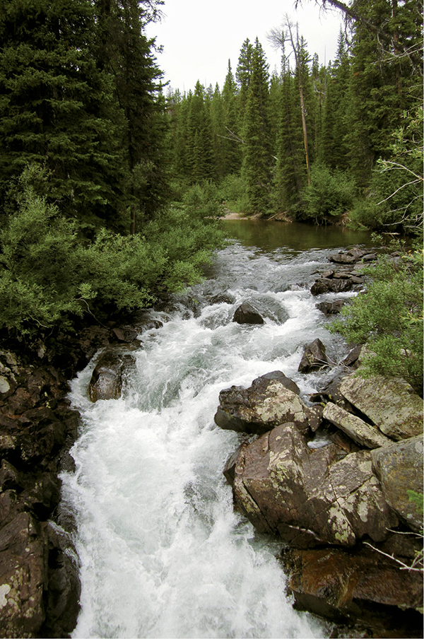 Always expect great scenery like this snapshot of the Clarks Fork of the - photo 5