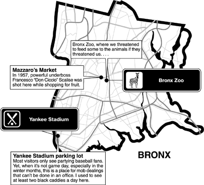 A goodfellas guide to New York your personal tour through the mobs notorious haunts hair-raising crime scenes and infamous hot spots - photo 3