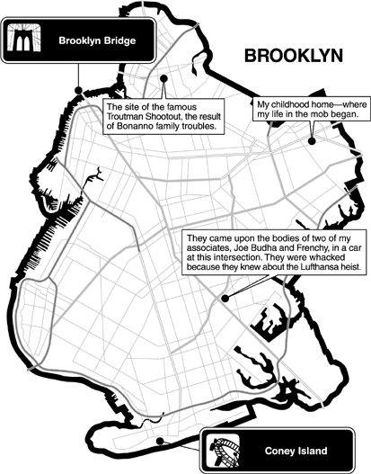 A goodfellas guide to New York your personal tour through the mobs notorious haunts hair-raising crime scenes and infamous hot spots - photo 4