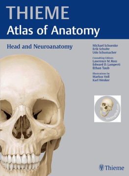 Schuenke Michael - Head and Neuroanatomy