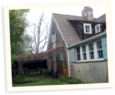 A grapevine-covered pergola off the dining room may have been original to the - photo 7