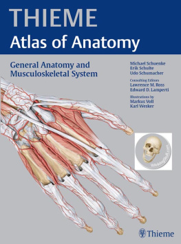 Schünke Michael - Thieme atlas of anatomy General anatomy and musculoskeletal system: 100 tables