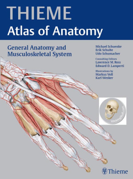 Schünke Michael Thieme atlas of anatomy General anatomy and musculoskeletal system: 100 tables