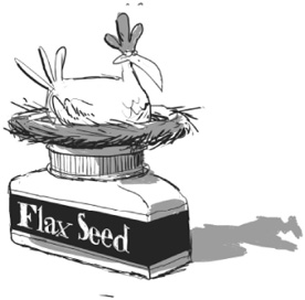 Where do omega-3 eggs fit into this picture Feeding flax-seeds to chickens - photo 1