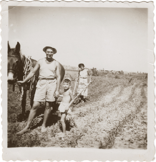 Andor Eli Alan and Baba ploughing a field Enjoying entertainment in - photo 3