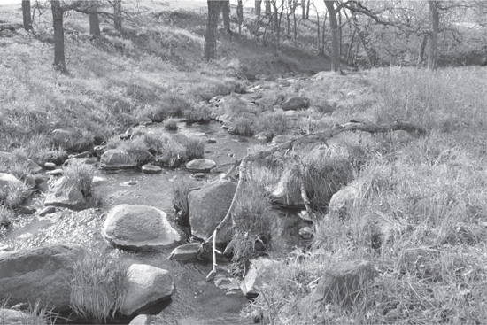 The South Dakota portion of the Upper Minnesota River Basin includes three - photo 7