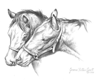 FRIENDLY FOALS pencil on bristol paper 6 7 15cm 18cm Dedication I would - photo 5