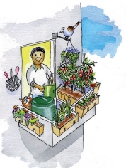 Composting has also become a hot political issue Under European law for - photo 4