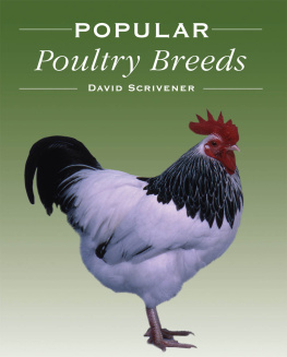 Scrivener - Popular Poultry Breeds