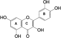 Fig 11 Chemical structure of quercetin Quercetin consists of a basic - photo 1