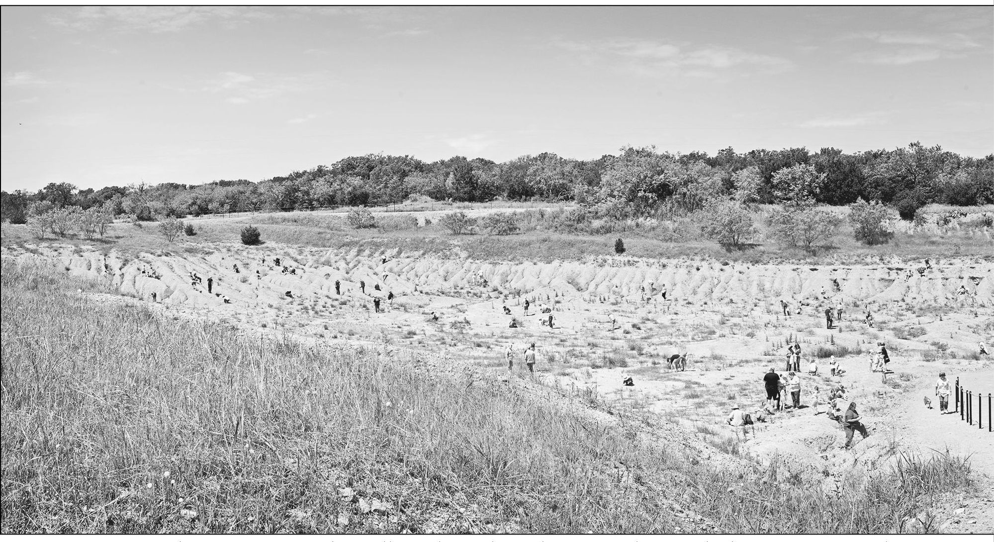 Due to these formations the Dallas Paleontological Society along with the - photo 3