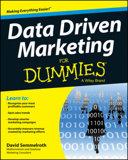 Semmelroth - Data Driven Marketing For Dummies