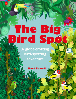 Sewell - The big bird spot: a globe-trotting bird-spotting adventure