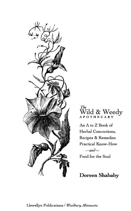 The Wild Weedy Apothecary An A to Z Book of Herbal Concoctions Recipes - photo 4