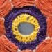 Cultural Fusion Quilts a Melting Pot of Piecing Traditions 15 Free-Form Block Projects - image 2