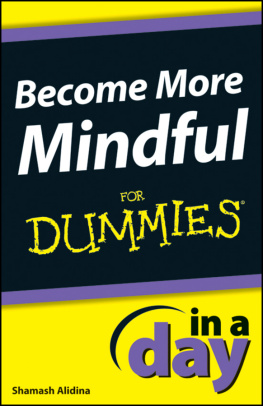 Shamash Alidina Become More Mindful In a Day For Dummies