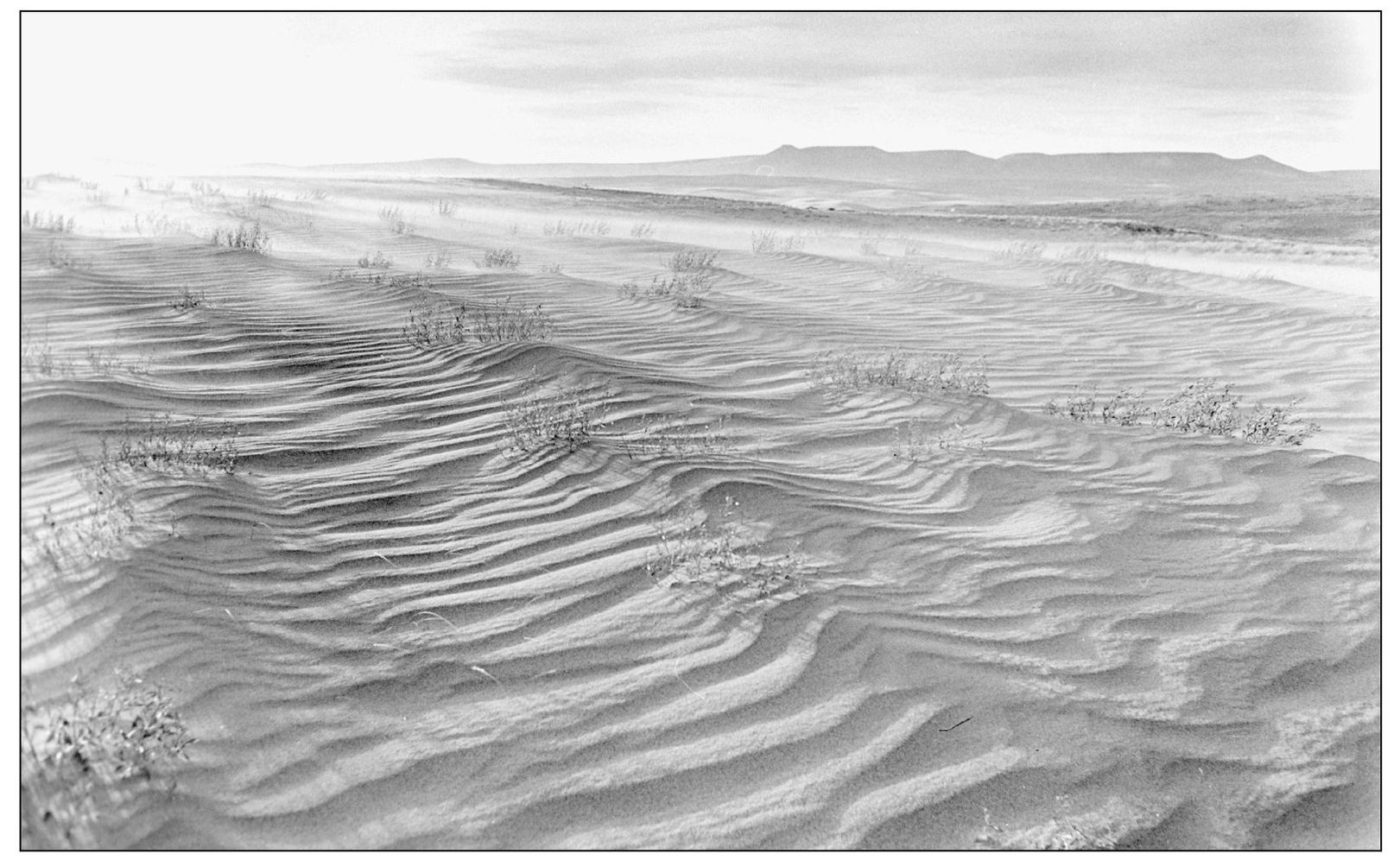 The Killpecker Sand Dunes are the largest continually migrating sand dunes in - photo 3