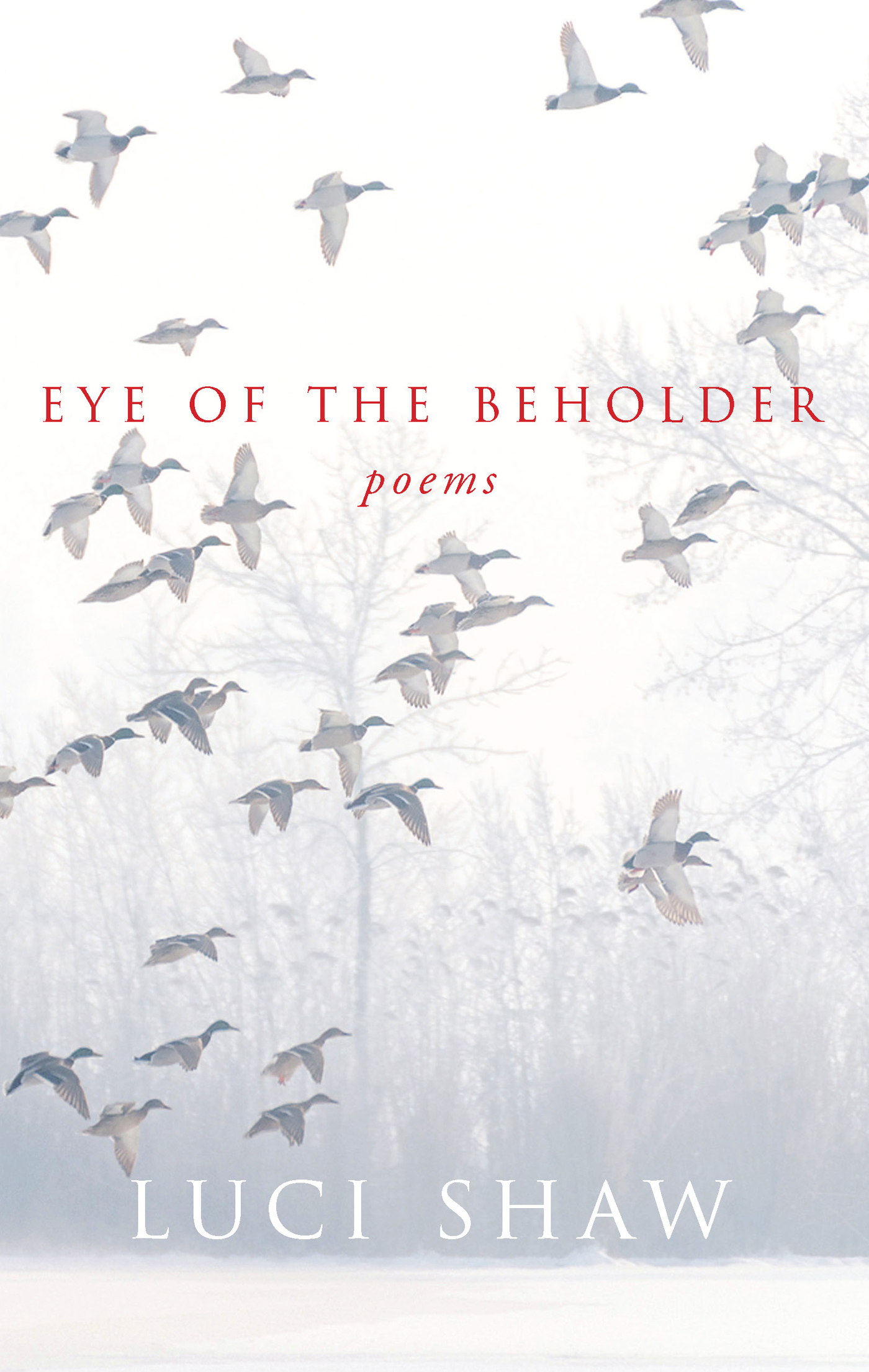 Eye of the Beholder - image 1