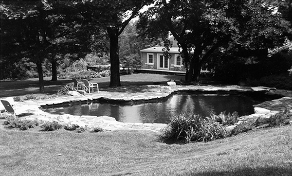 The first house in Connecticut David Susskind and Norman at the pool - photo 15