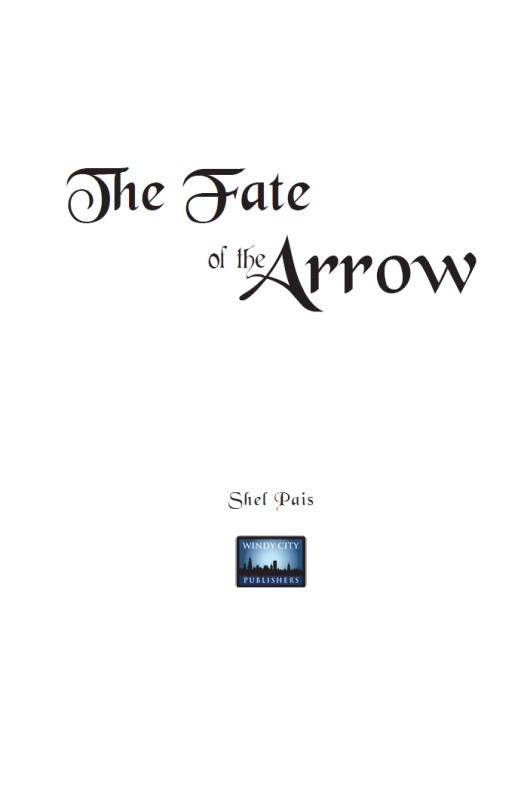 The Fate of the Arrow - image 2