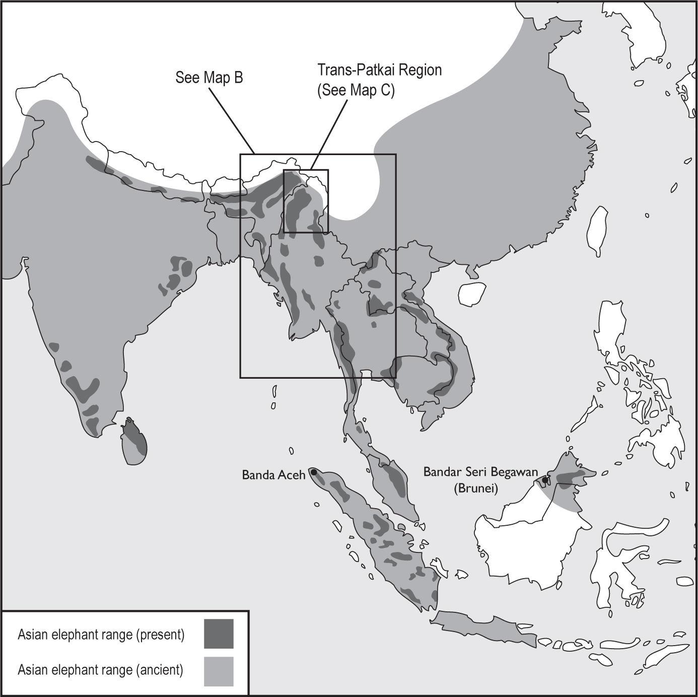 Map A Present and ancient ranges of the Asian elephant Elephas maximus in - photo 6