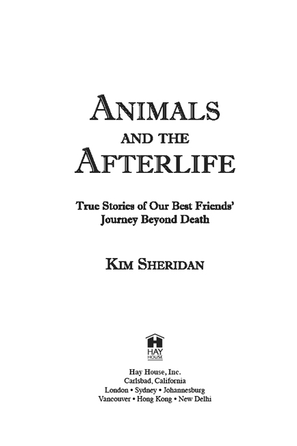 Copyright 2003 by Kim Sheridan Published and distributed in the United States - photo 1