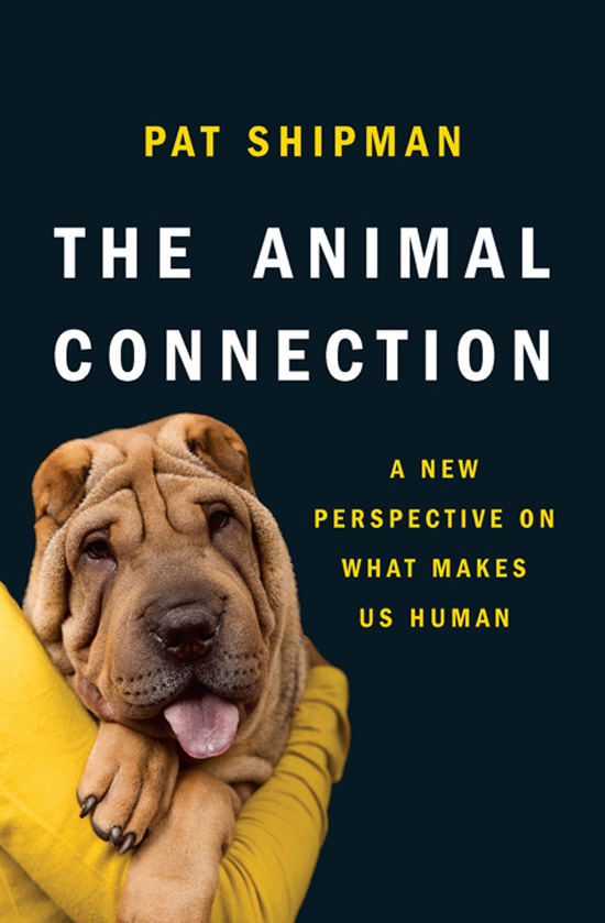 The Animal Connection A New Perspective on What Makes Us Human Pat Shipman W - photo 1