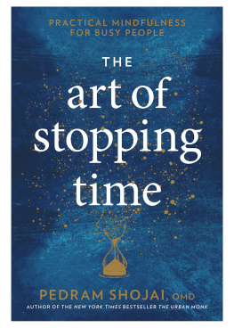 Shojai The ART OF STOPPING TIME: practical mindfulness for busy people