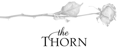 The Thorn The Rose Trilogy Book 1 - image 2