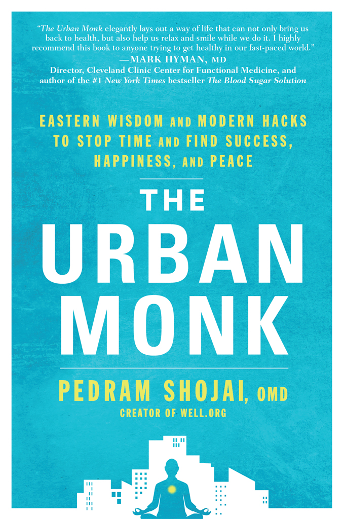 PRAISE FOR THE URBAN MONK Written with page-turning verve this book - photo 1