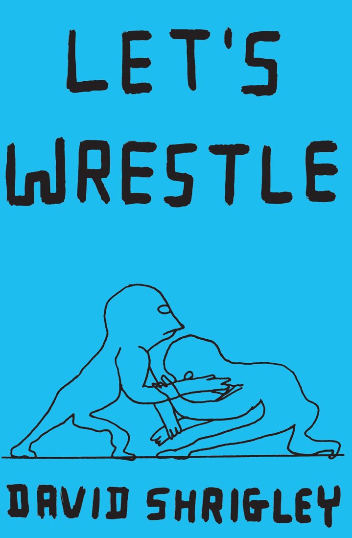 Lets Wrestle - photo 1