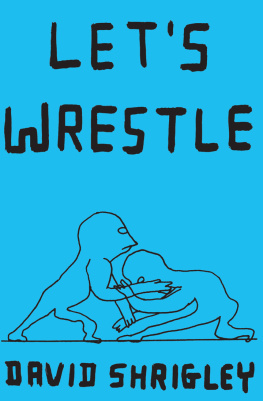 Shrigley - Lets Wrestle