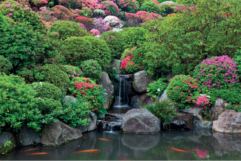 A delicate waterfall and koi carp in the azalea garden pond at Nezu Shrine - photo 11