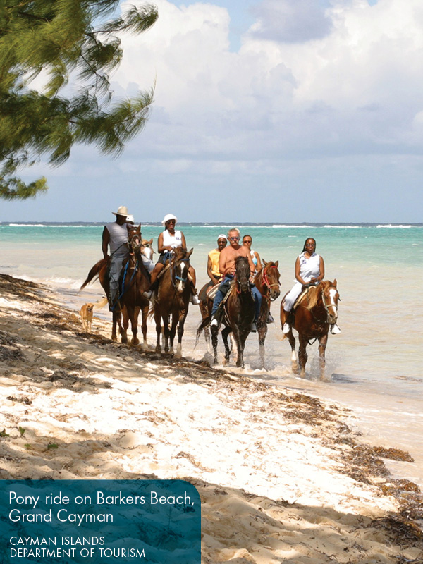 Fodors In Focus Cayman Islands - photo 8