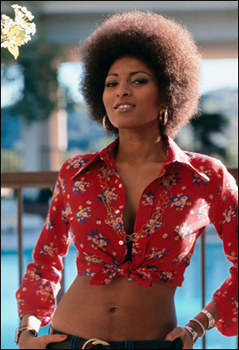 Dont mess with the one-chick hit squad Blaxploitation icon Pam Grier as Coffy - photo 5