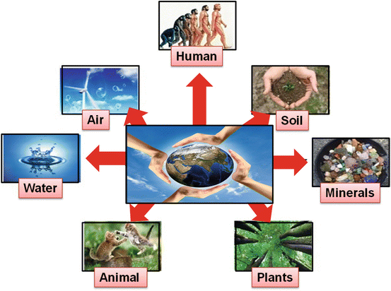 Fig 11 Our environment and its components 11 Role of Environmental - photo 1