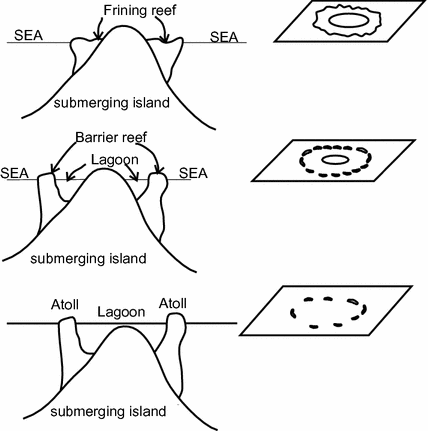 Fig 11 Formation of Atoll However the recent studies on reef growth have - photo 1