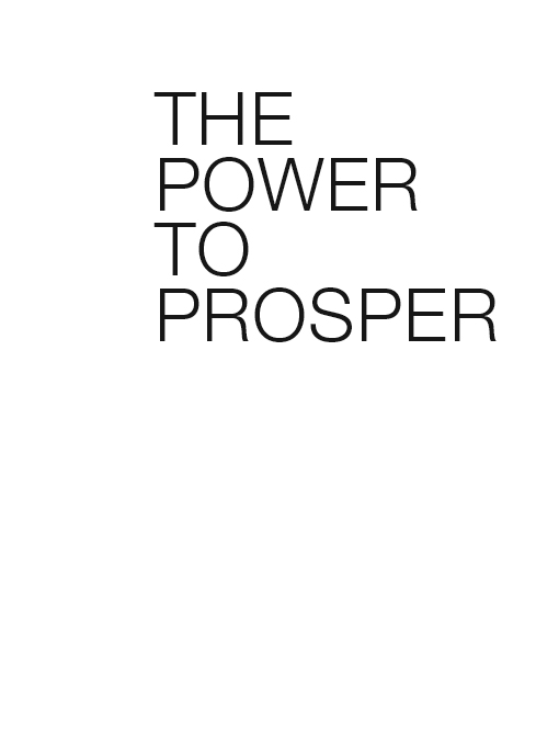 ZONDERVAN The Power to Prosper Copyright 2010 by Michelle Singletary All - photo 1