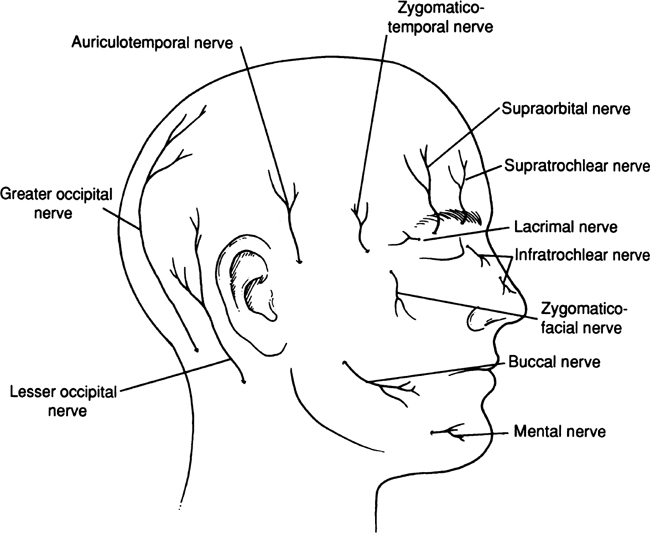 Figure 14 NAIL SCALP from Figs Figure 15 - photo 4