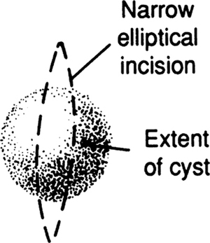 Figure 17 Figure 18 Figure 19 - photo 7