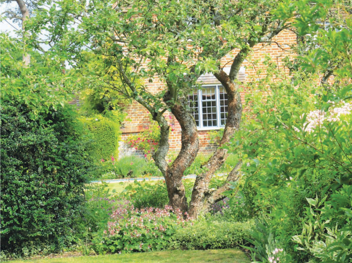 This garden has grown up around its fruit trees In the latter half of the - photo 9