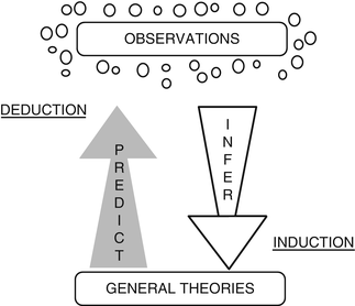 Figure 11 Deductive and inductive inference In deductive inference we - photo 1