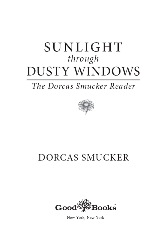 SUNLIGHT THROUGH DUSTY WINDOWS Copyright 2017 by Good Books All rights - photo 2