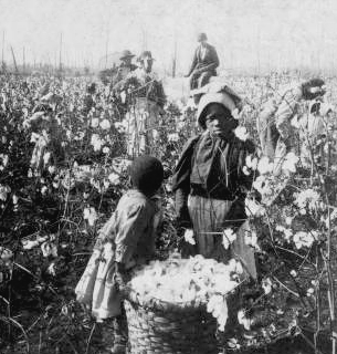 Slaves picking cotton It was an issue that would eventually divide the - photo 3