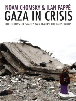 Chomsky - Gaza in Crisis