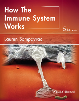 Sompayrac - How the Immune System Works